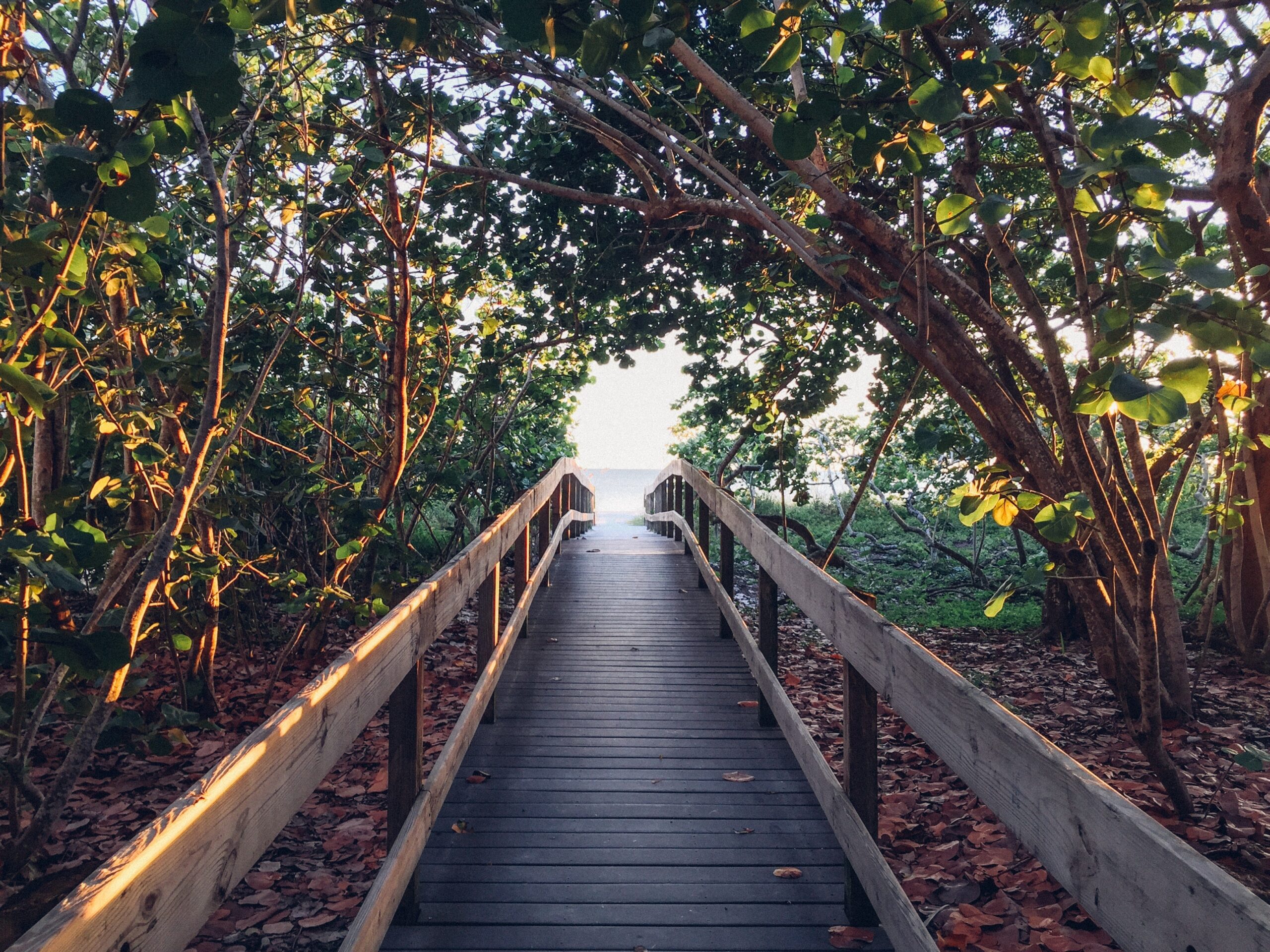 A pathway to action for gender lens investing: In conversation with Laurie Spengler