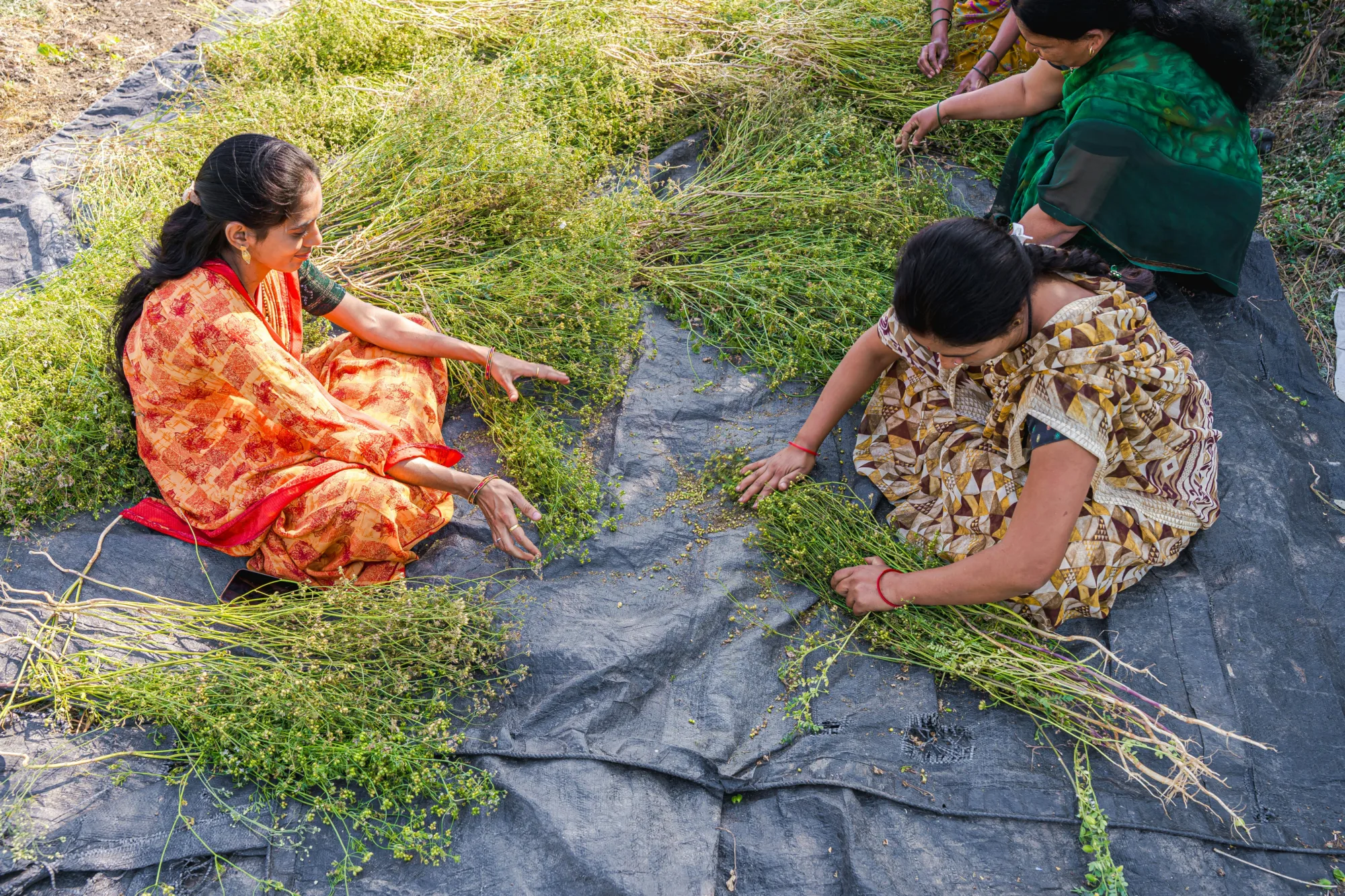 Gawa Capital: structuring a fund