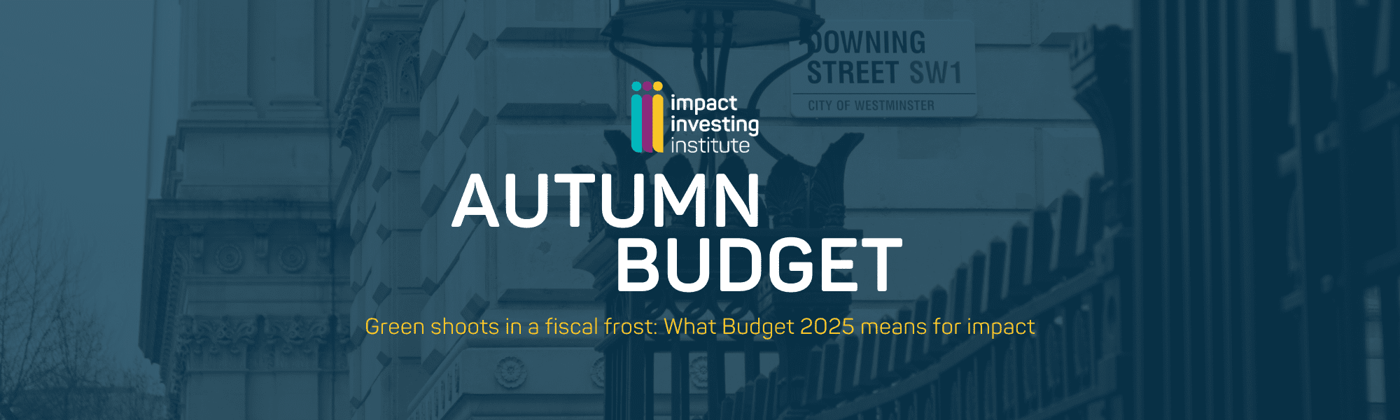 Green shoots in a fiscal frost: What Budget 2025 means for impact